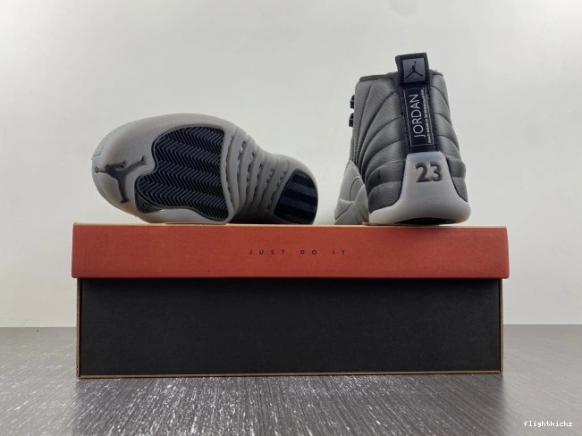 Grey 12 Black Air Wolf CT8013-019 Jordan 1123